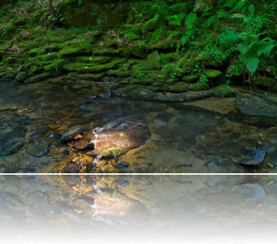 Gmerek Tomasz - Równica