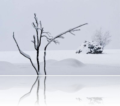 Gmerek Tomasz - Sawanna 2