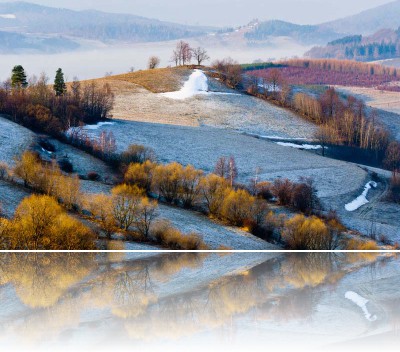 Gmerek Tomasz - Stróża