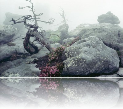 Gmerek Tomasz - Szczeliniec 1