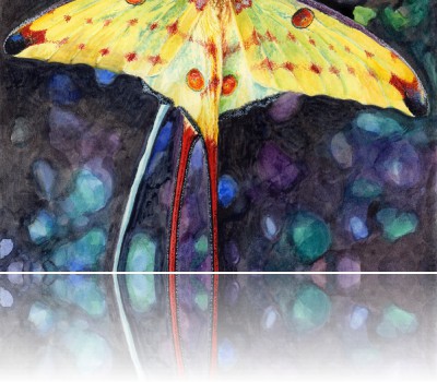 Juziuk Joanna - Ćma