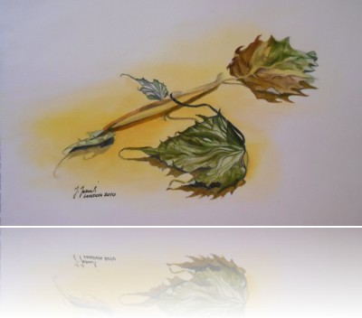 Juziuk Joanna - Gałązka suchych liści