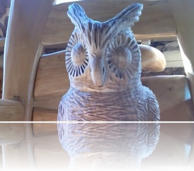 Mackiewicz Bartłomiej - Sowa