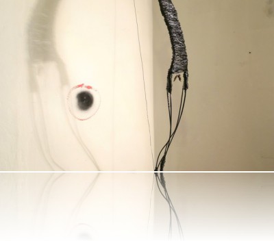 Osuch Michał - Druciak wygięty