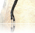 Osuch Michał - osuch_druciak_wygiety_1_3.jpg