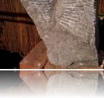 Osuch Michał - osuch_onona_1_2.jpg