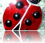 Wierzbicka-Bara Danuta - wierzbicka_biedronka_1_2.jpg